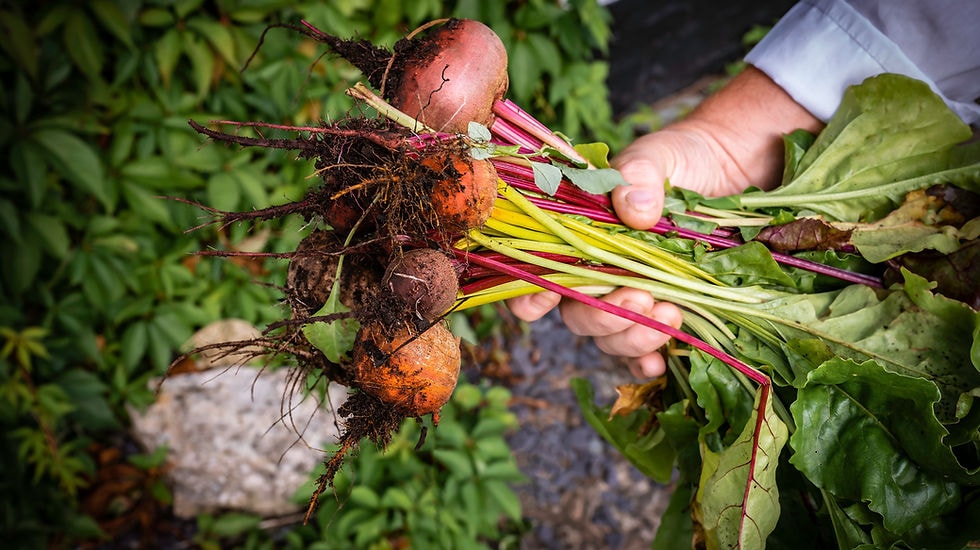 no info available for image