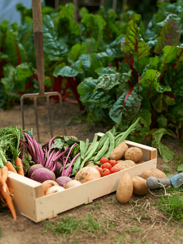 no info available for image