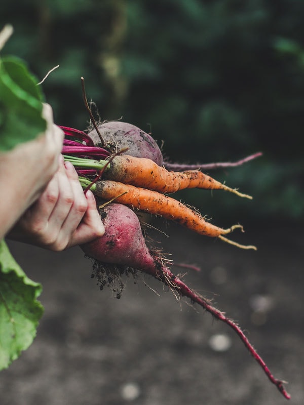 no info available for image